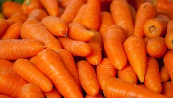 রোজা রেখে গাজর খান