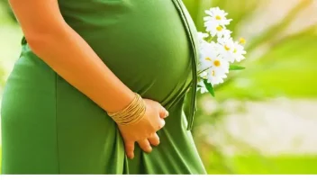 ডেঙ্গুতে মাতৃমৃত্যুর ঝুঁকি কতটা